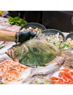 Gallo de Sant Pere (1 pieza +- 1,2 kg.)